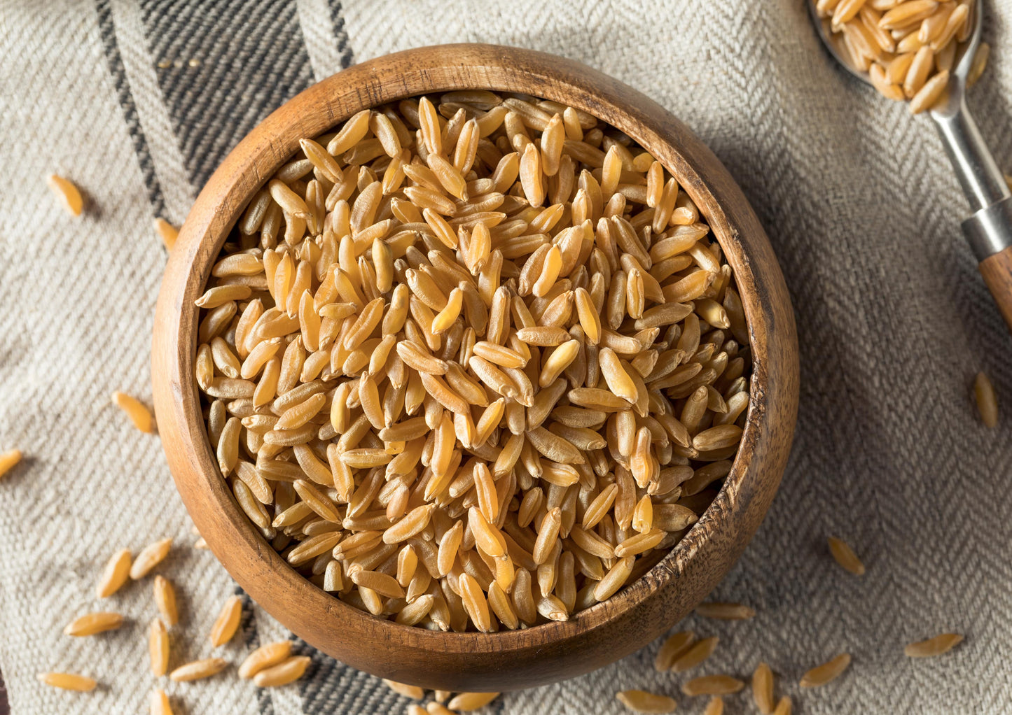 Organic KAMUT Khorasan Wheat Berries - by Food To Live