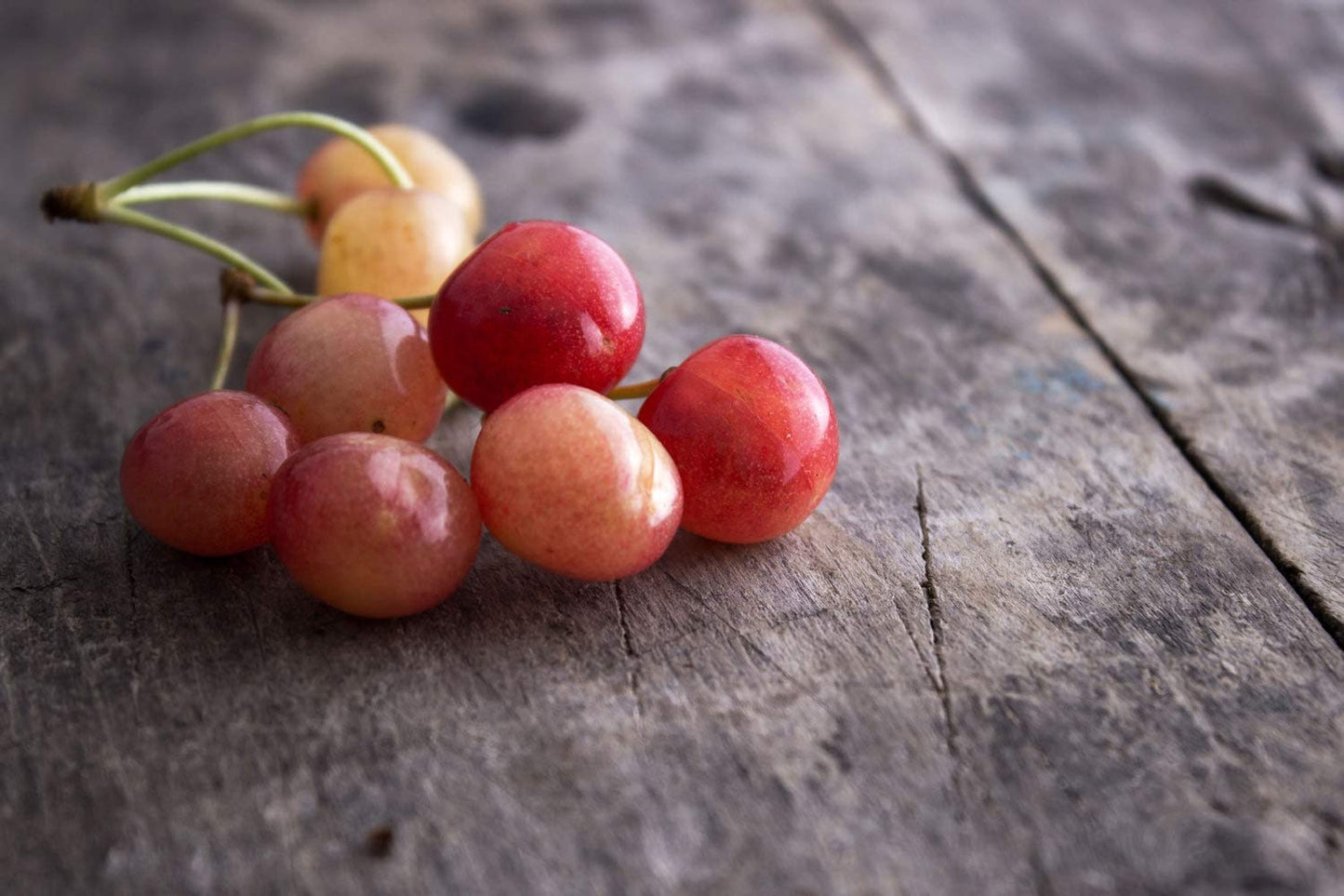 Organic Rainier Cherries - by Food To Live