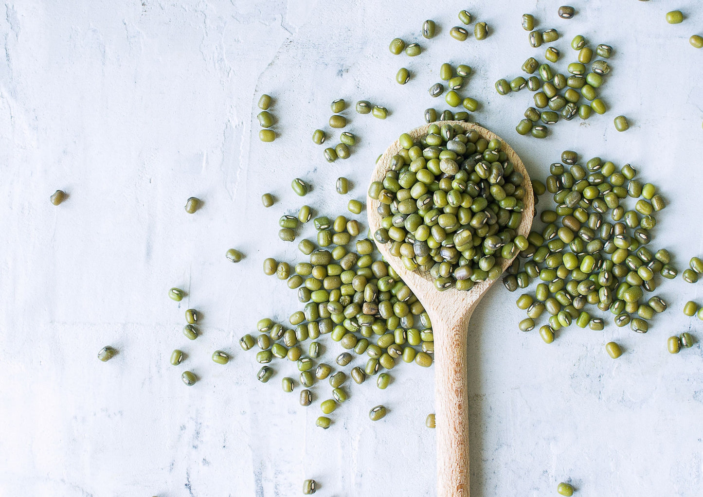 Organic Mung Beans - Sprouting, Non-GMO, Kosher, Sirtfood, Bulk - by Food to Live