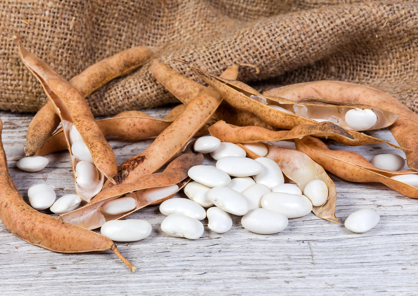 Organic White Kidney Beans — Whole Raw Dried Beans, Vegan, Kosher, Bulk. Rich in Dietary Fiber and Protein. Perfect for Soups, Stews, Chili, Paste, Salads and Side Dishes