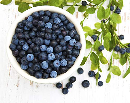 Organic Dried Blueberries - by Food To Live
