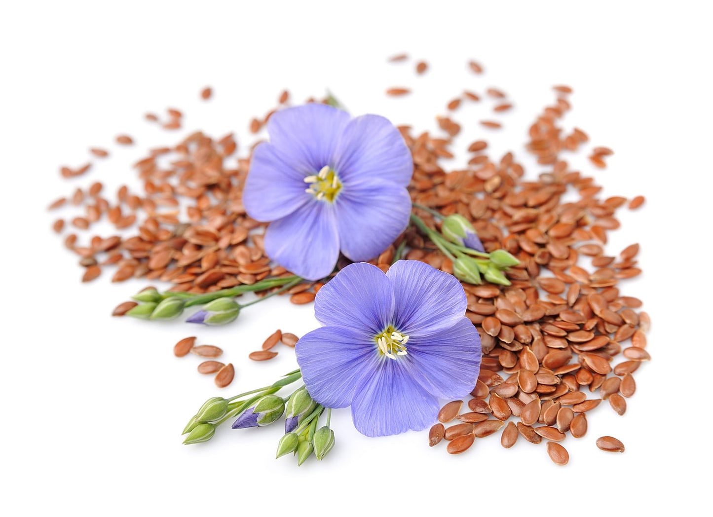 Organic Brown Flaxseed Meal - by Food To Live