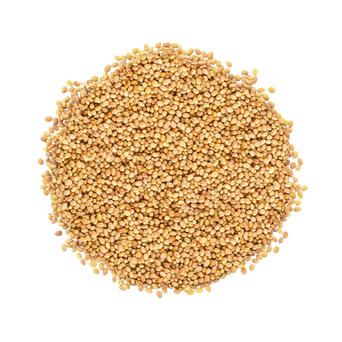 Organic Clover Sprouting Seeds - by Food To Live