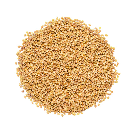Organic Clover Sprouting Seeds - by Food To Live