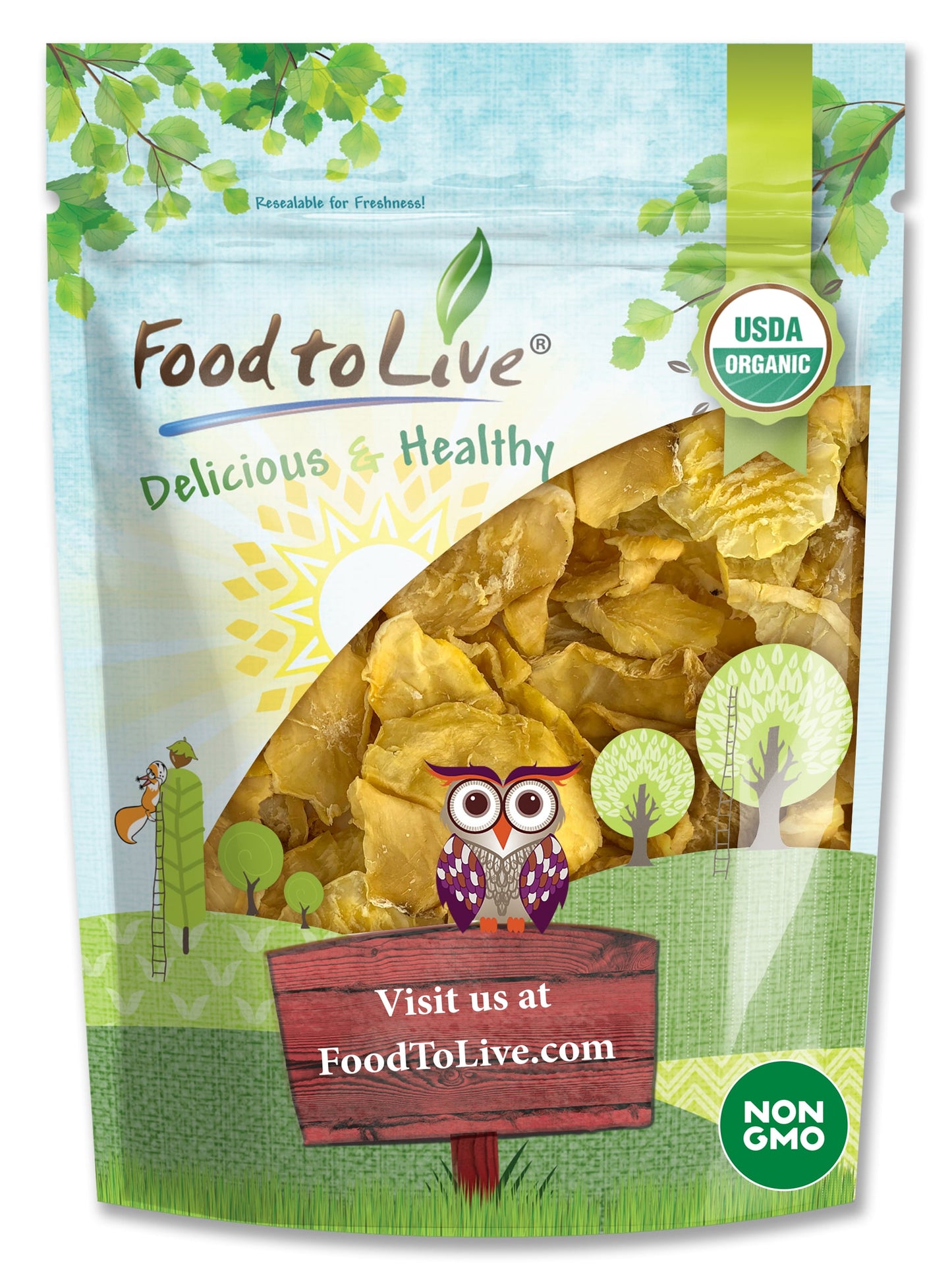 Organic Yacon Slices - by Food To Live