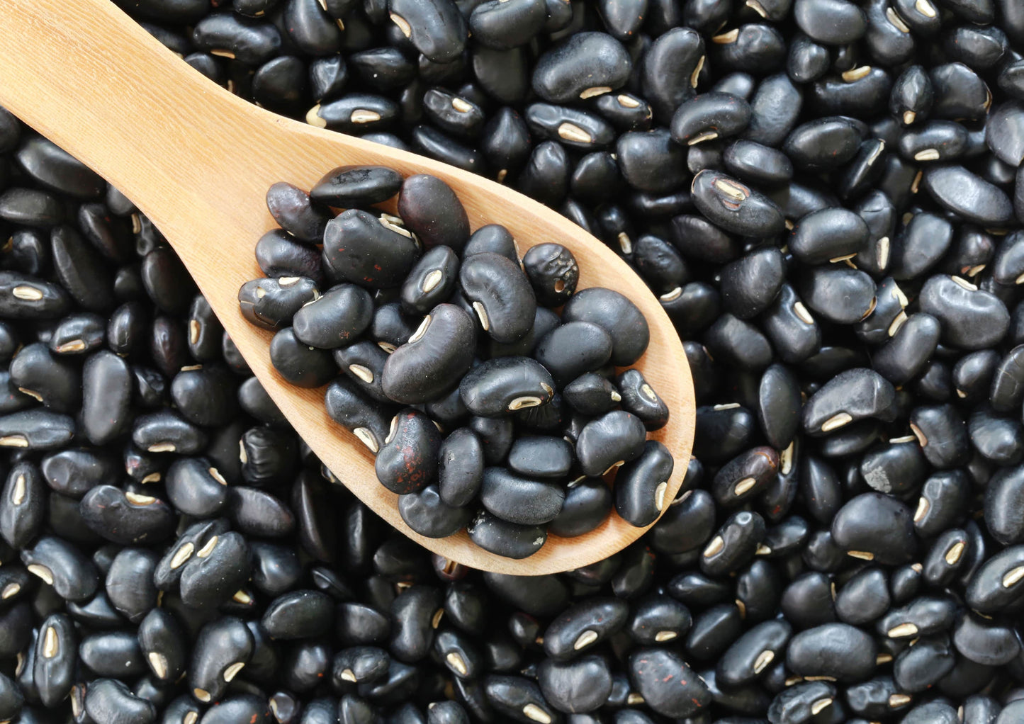 Black Turtle Beans - by Food To Live