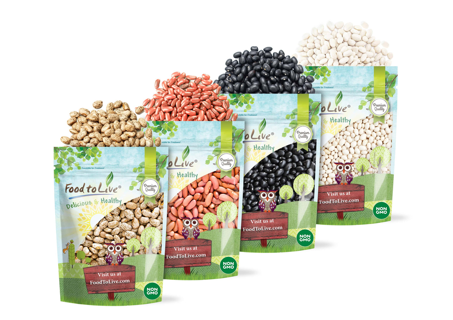Premium Dry Beans Bundle, 4 Pack - Black Beans (5 LB), Pinto Beans (5 LB), Navy Beans (5 LB), Light Red Kidney Beans (5 LB) - by Food To Live