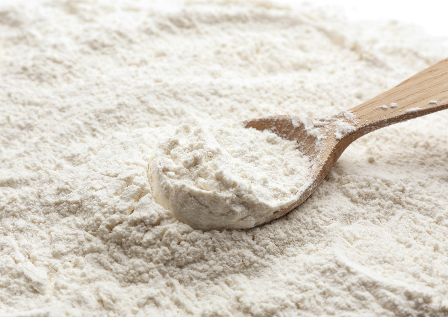 Organic Italian Pizza Flour - by Food To Live