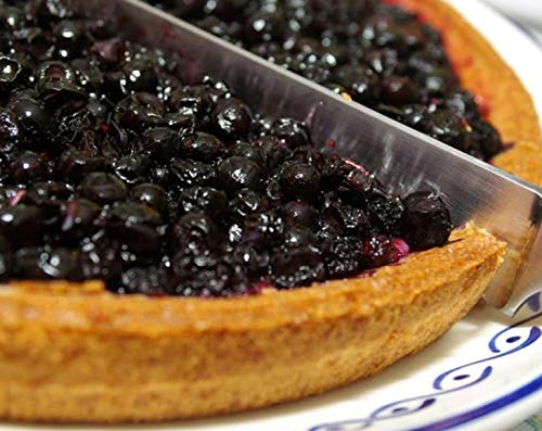 Organic Dried Blueberries - by Food To Live