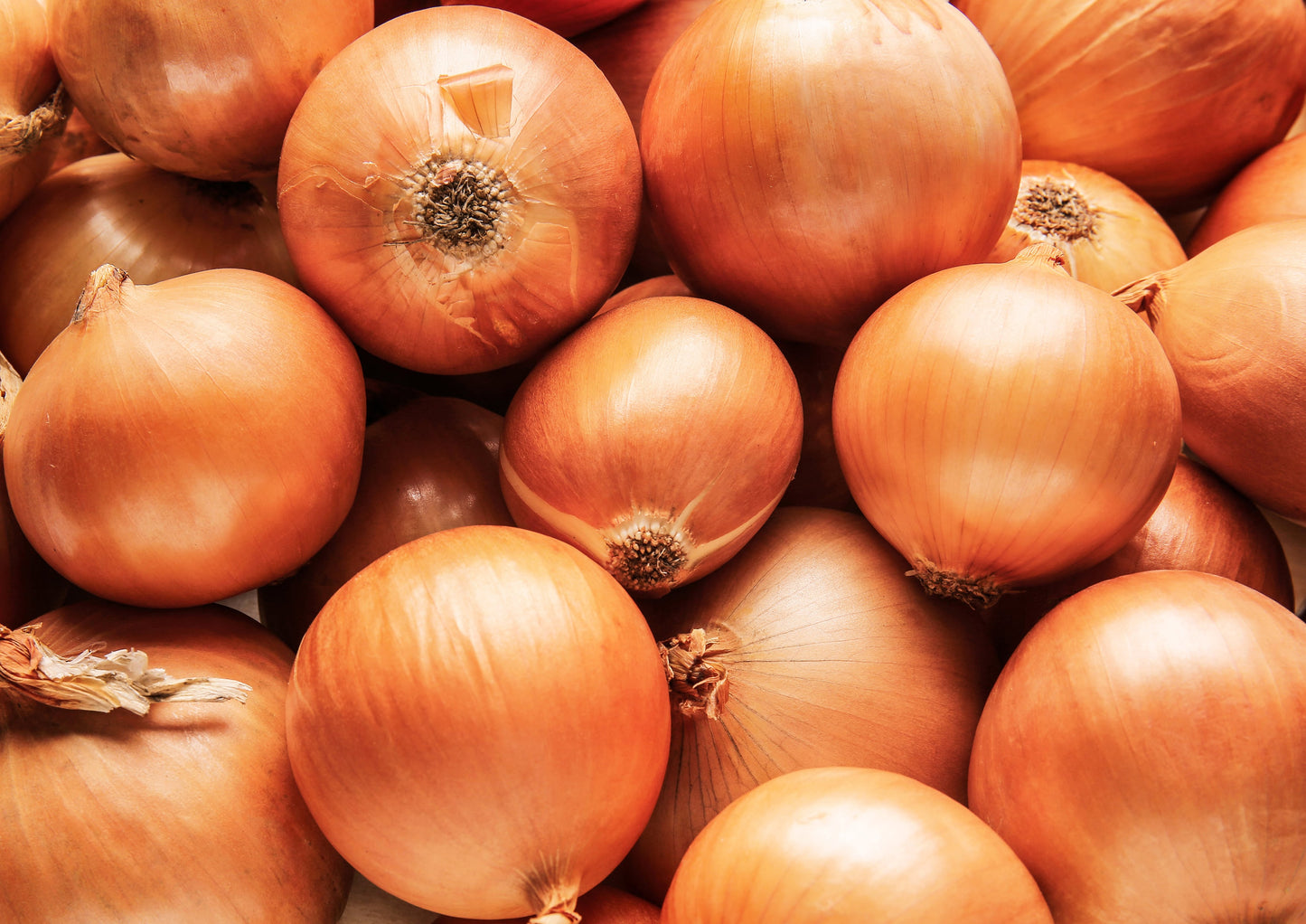 Onion Powder - by Food To Live