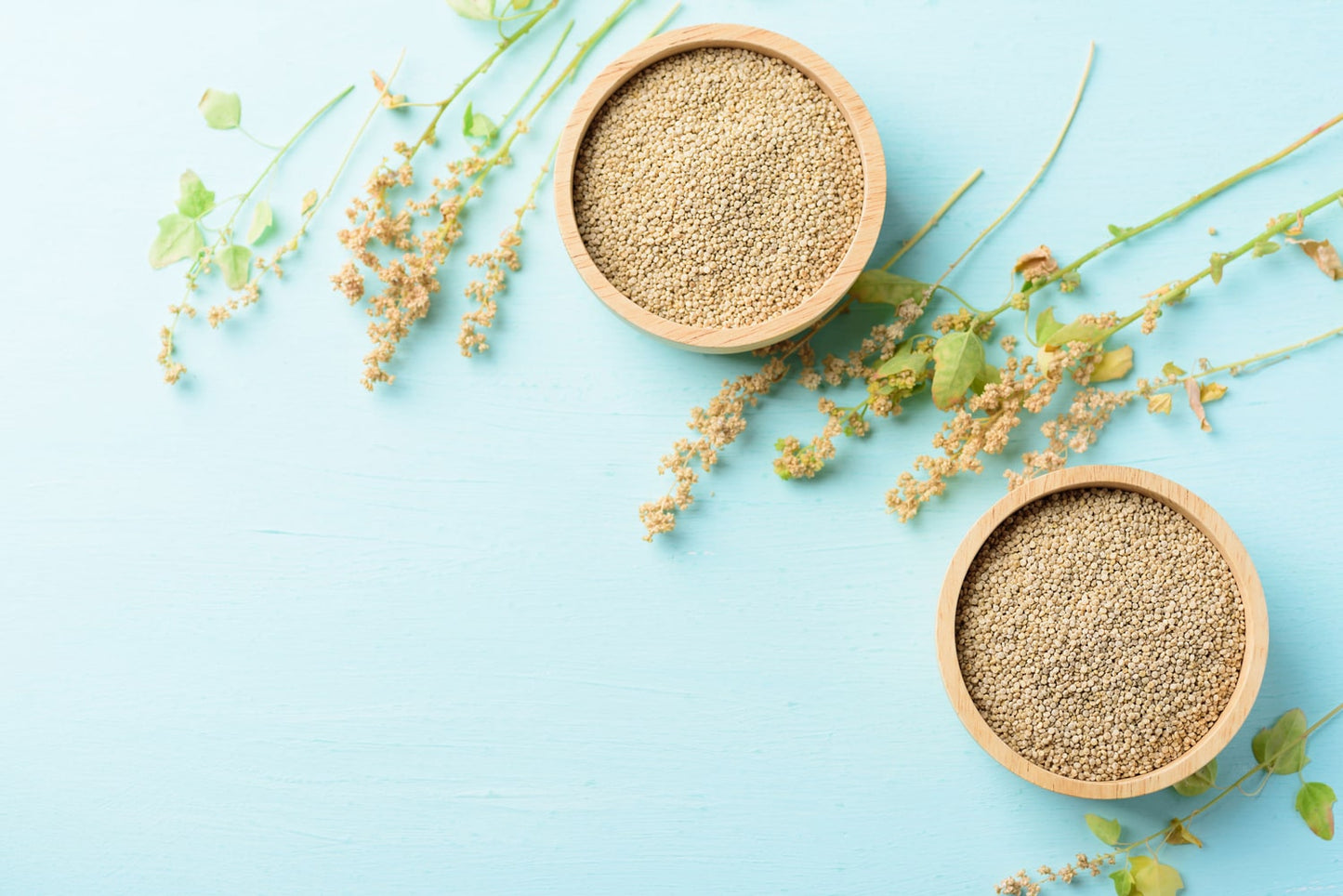 Organic White Quinoa Flour - by Food To Live