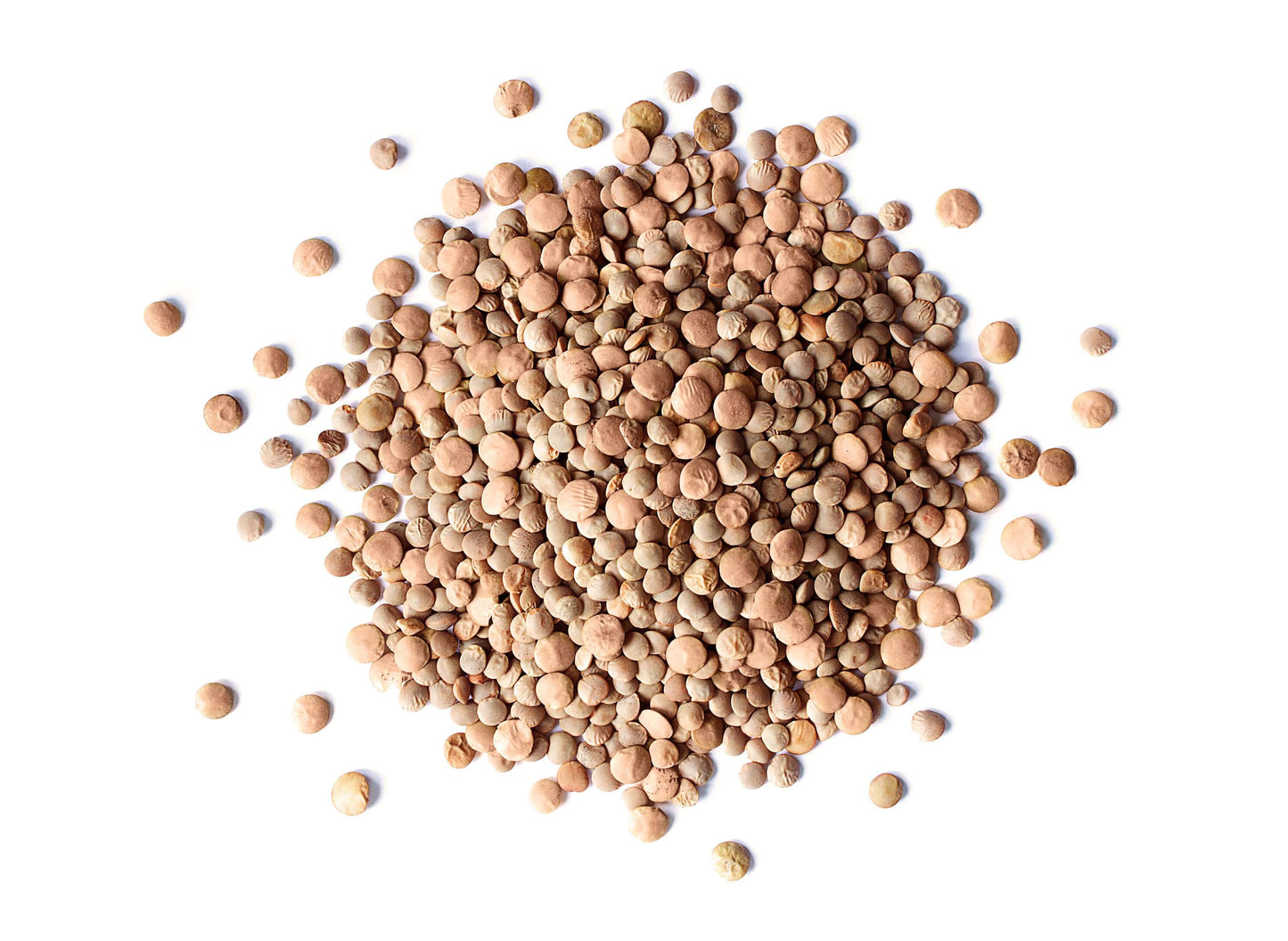 Red Lentils Whole - by Food To Live