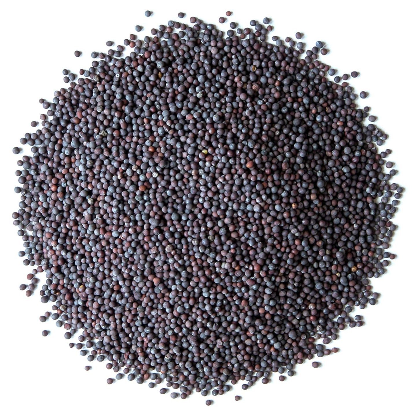 Organic Black Mustard Seeds - by Food To Live
