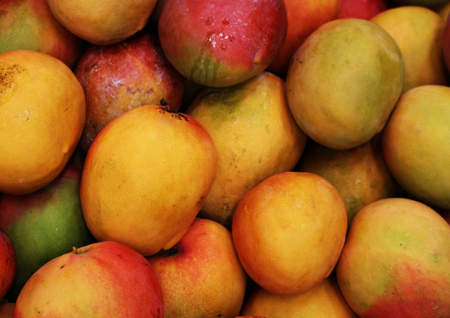 Organic Mango Powder - by Food To Live