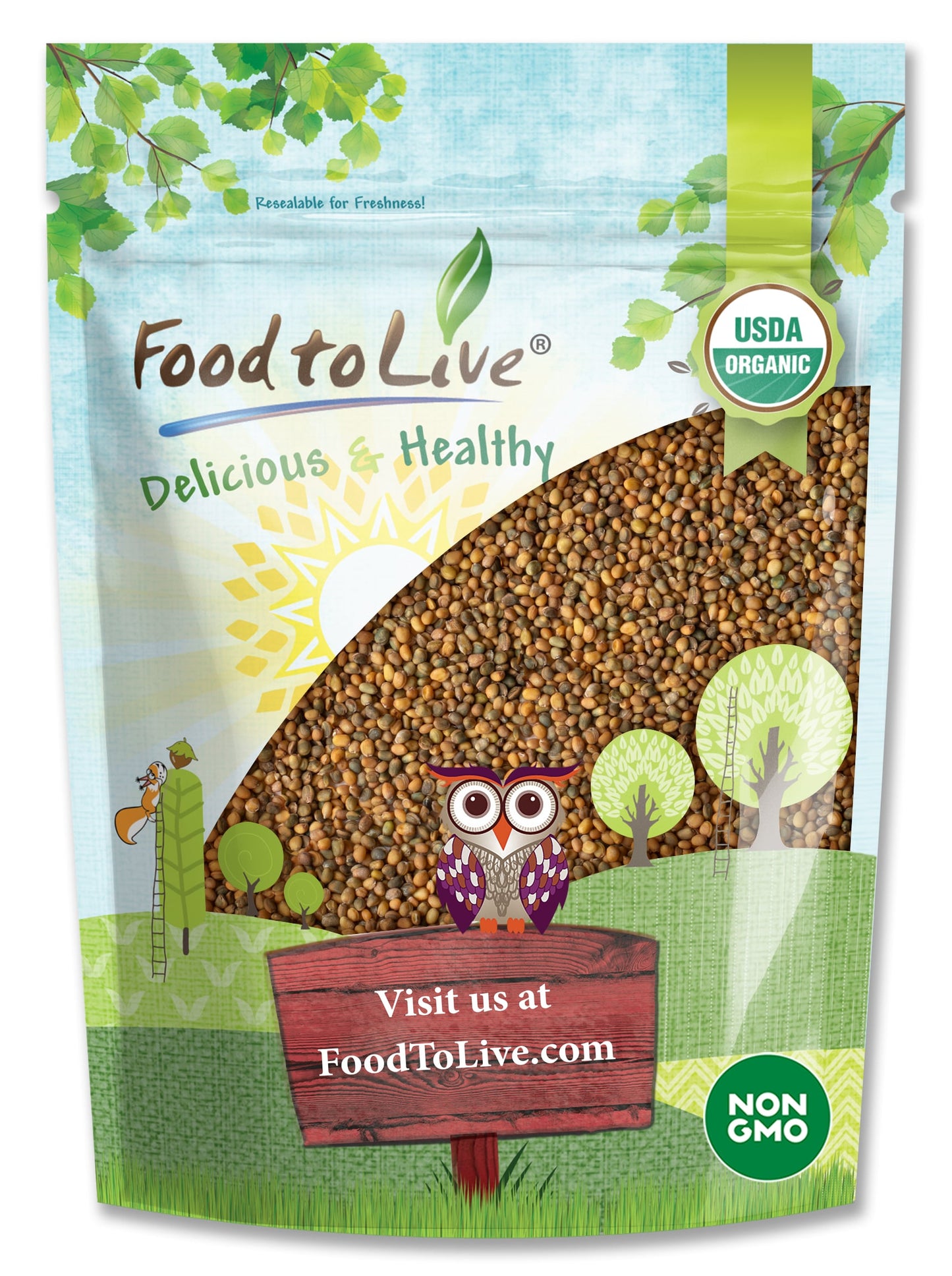 Organic Arugula Sprouting Seeds - by Food To Live