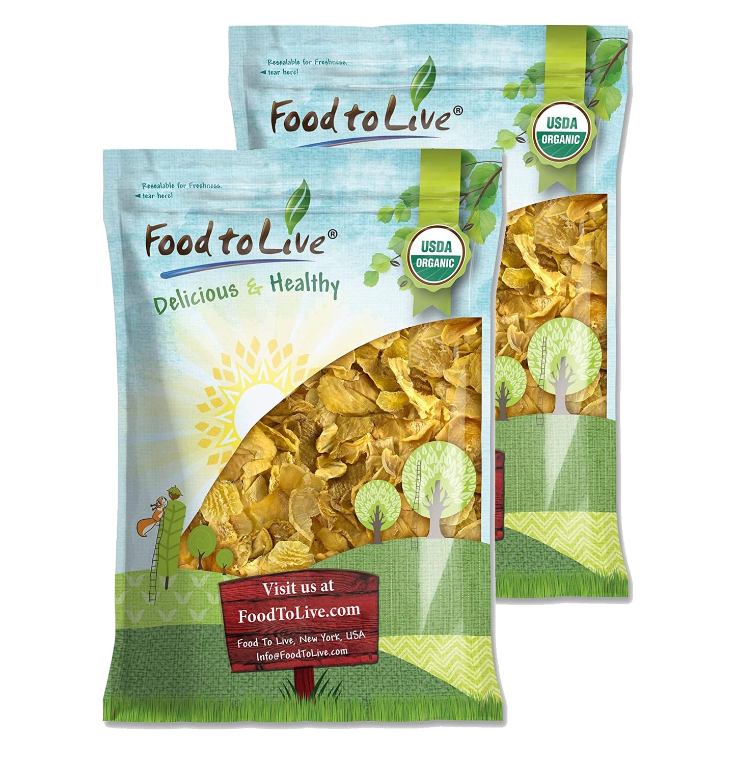 Organic Yacon Slices - by Food To Live