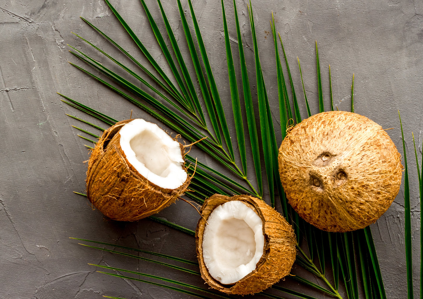 Organic Toasted Coconut Chips - by Food To Live