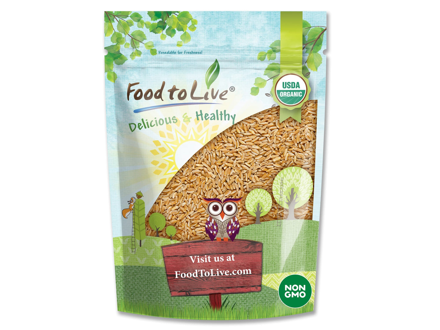 Organic KAMUT Khorasan Wheat Berries - by Food To Live