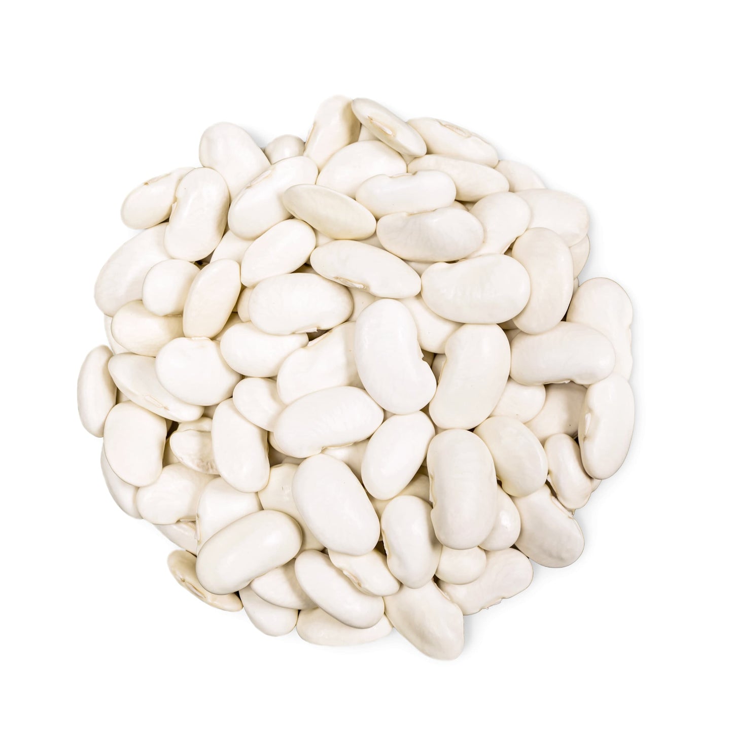 Organic White Kidney Beans — Whole Raw Dried Beans, Vegan, Kosher, Bulk. Rich in Dietary Fiber and Protein. Perfect for Soups, Stews, Chili, Paste, Salads and Side Dishes