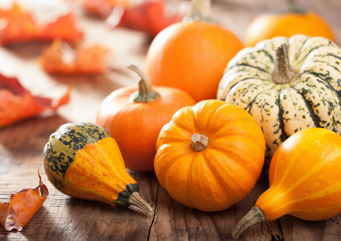 Organic Raw Pumpkin Seeds in Shell - by Food To Live
