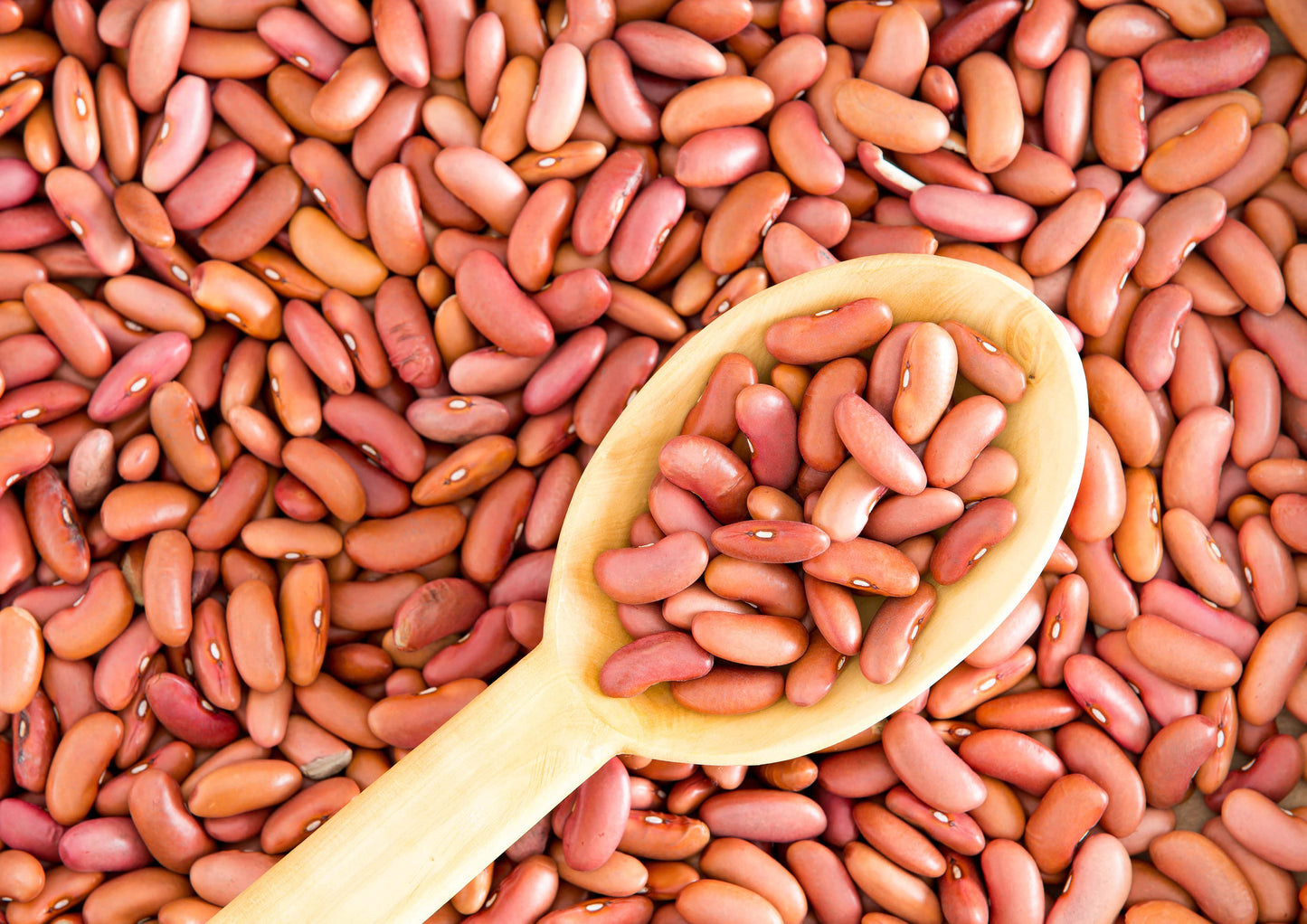 Light Red Kidney Beans - by Food To Live