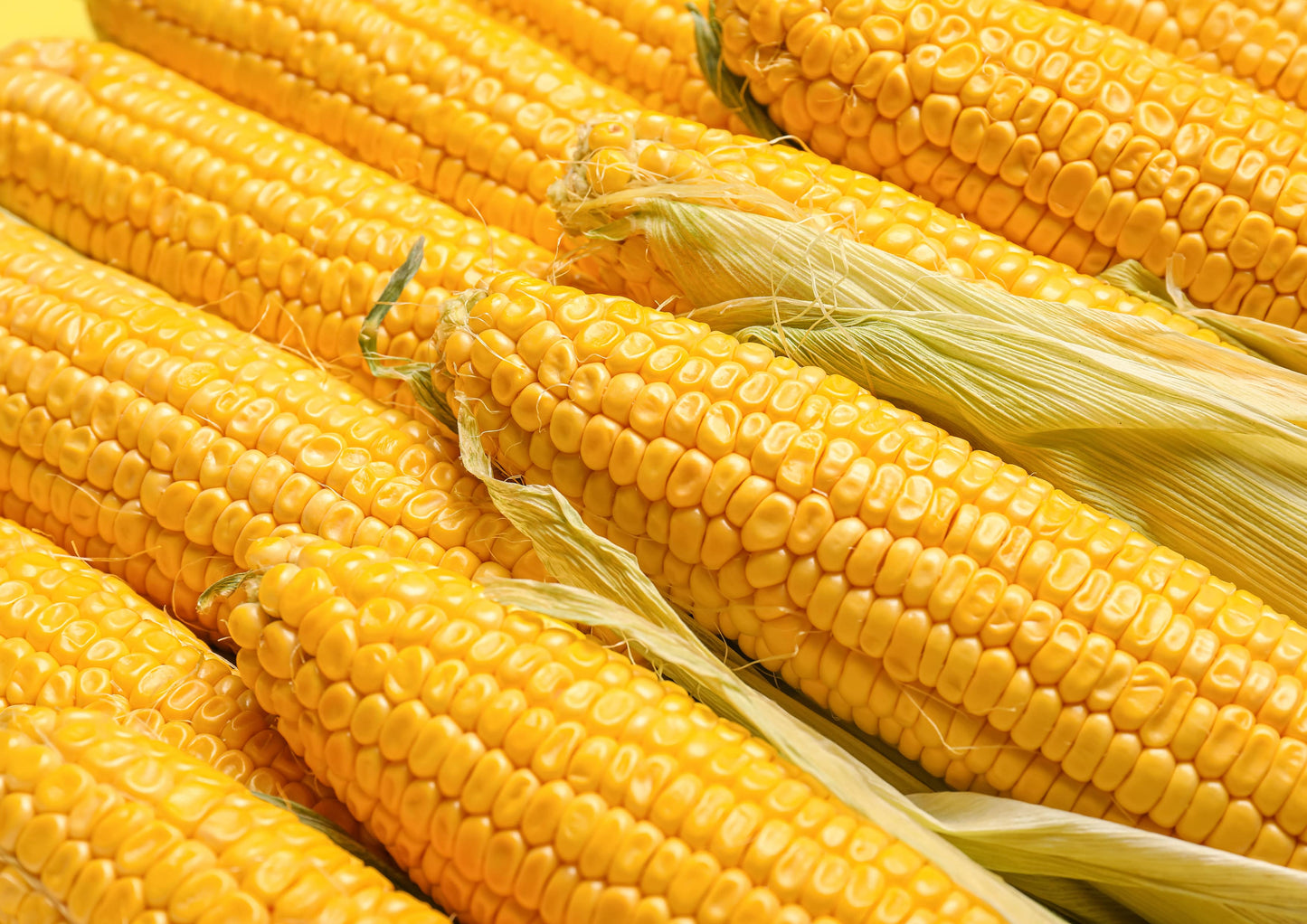 Organic Old Fashioned Cornmeal Coarse - by Food To Live