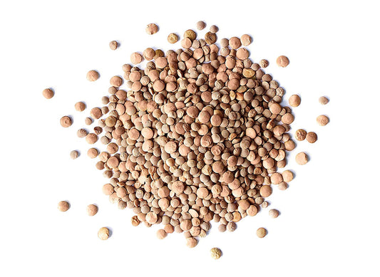 Red Lentils Whole — Non-GMO Verified, Kosher, Raw, Sproutable, Vegan, Bulk - by Food to Live
