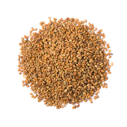 Alfalfa Seeds for Sprouting - by Food To Live