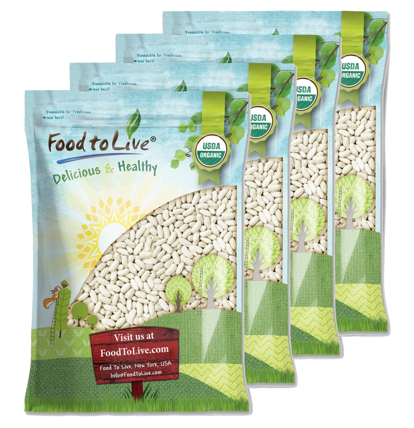 Organic Cannellini Beans - Raw, Dried, Non-GMO, Kosher, White Kidney Beans in Bulk, Product of the USA, Sirtfood - by Food to Live