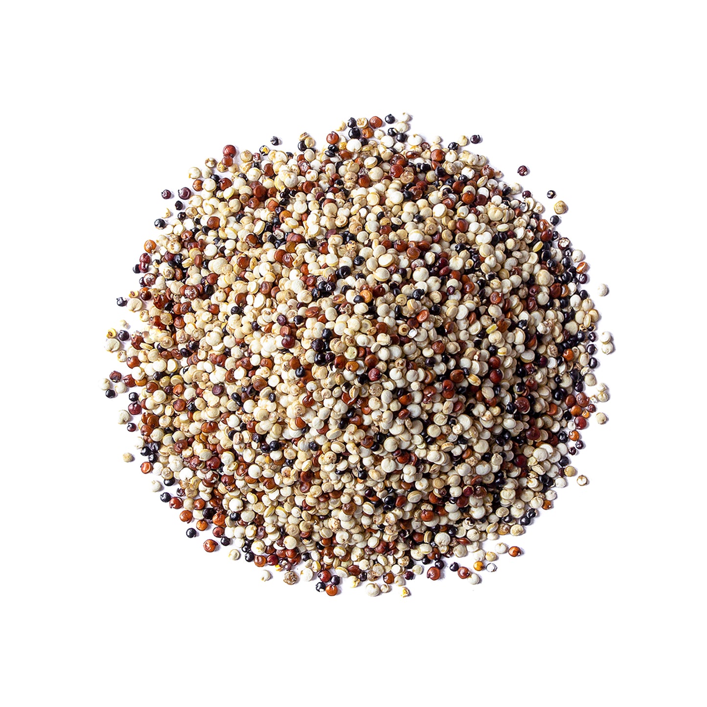 Tri-Color Quinoa Grain – Premium Blend of White, Black, and Red Whole Seeds. Pre-Washed and Ready to Cook. A Nutrient-Rich Superfood in Bulk. Good Source of Fiber and Protein. Kosher