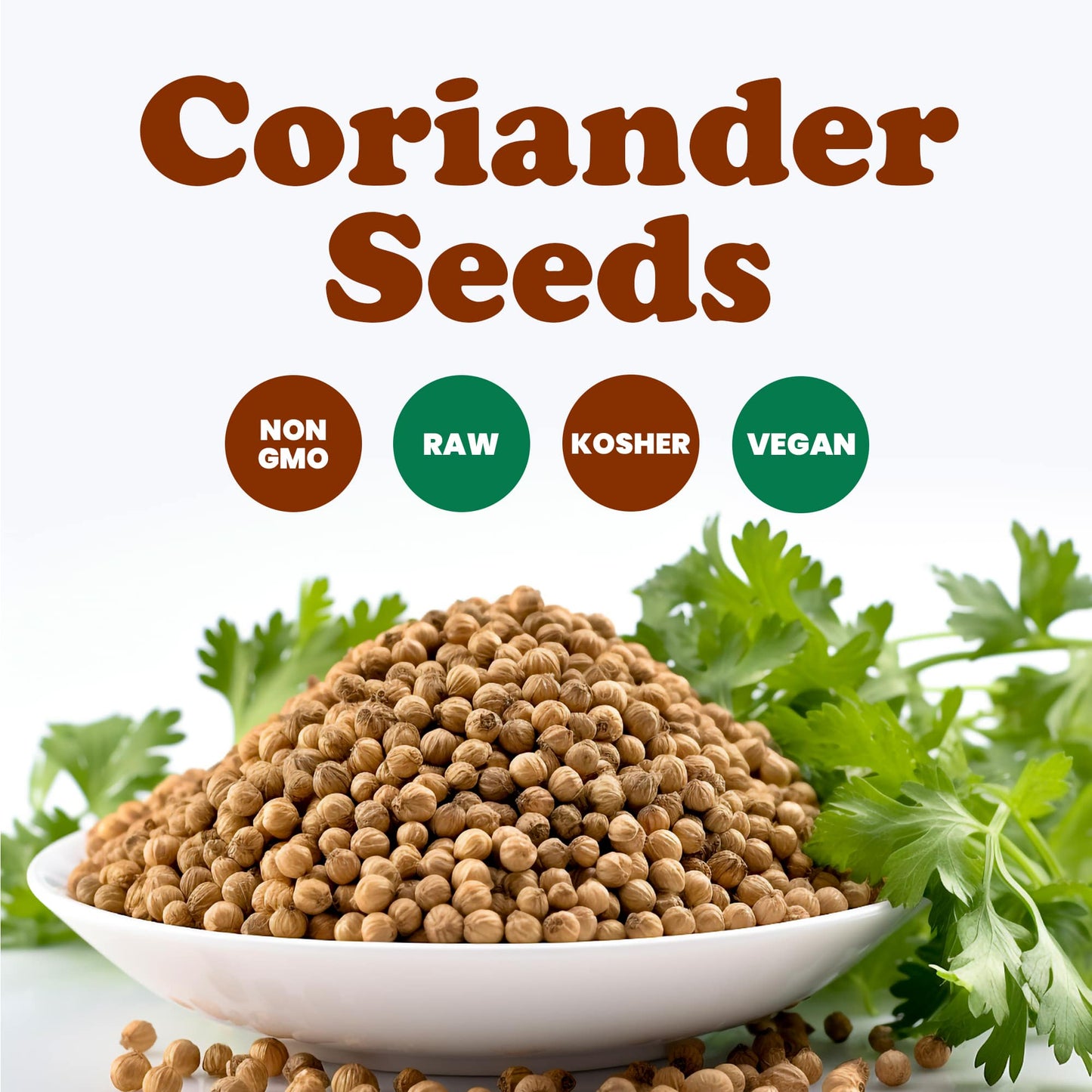 Coriander Seeds Whole — Non-GMO Verified, Kosher, Bulk - by Food to Live