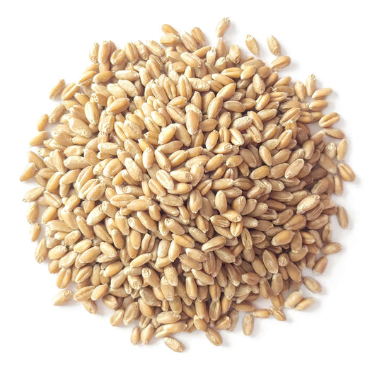 Organic Soft White Wheat Berries  – Premium Non-GMO Whole Grain Wheat for Milling, Sprouting, Cooking, and Baking Bread. High in Fiber and Protein. Kosher Seeds in Bulk