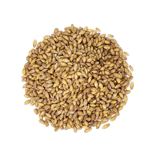Hulled Barley Grain - by Food To Live