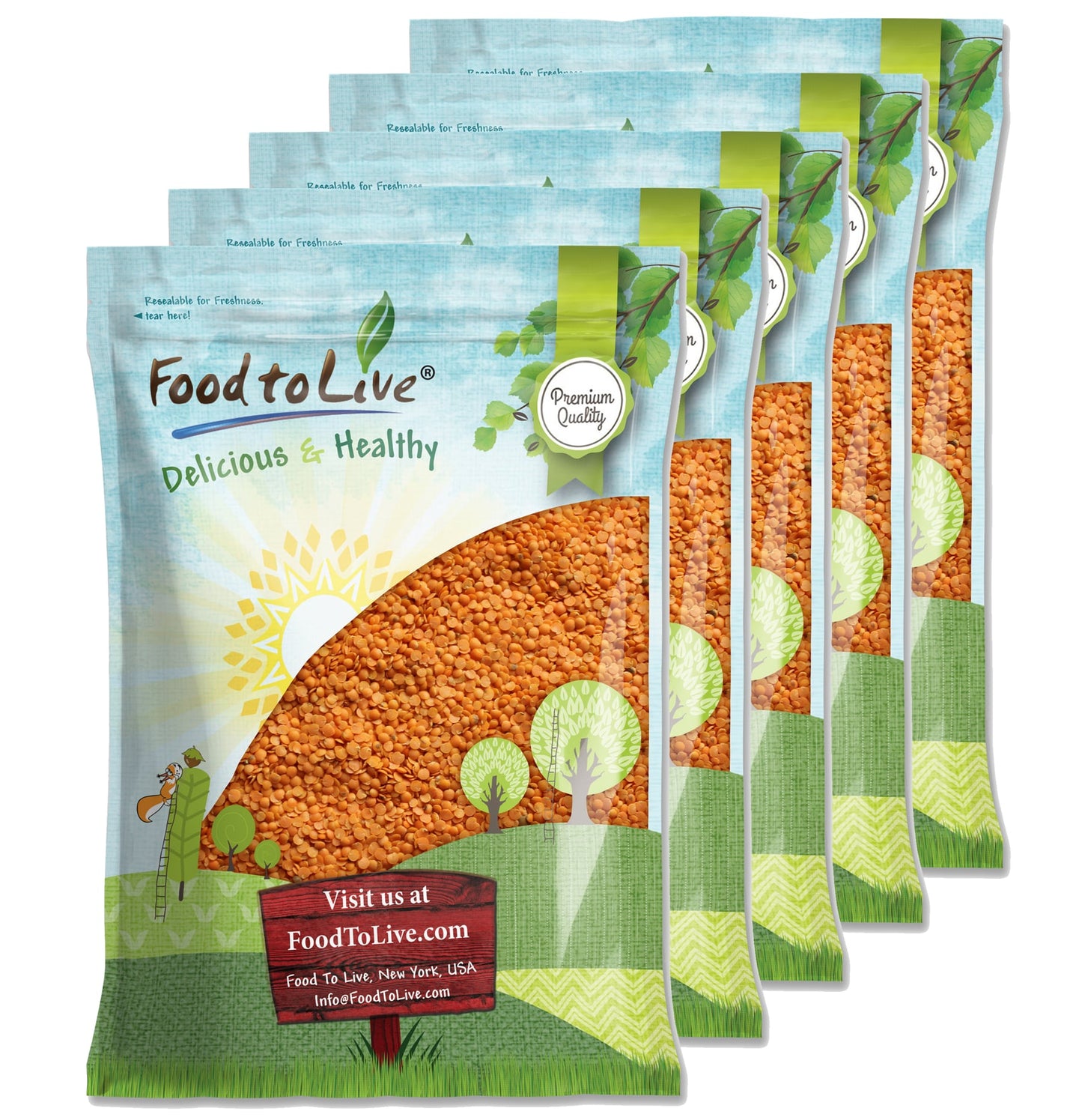 Red Split Lentils - Dry Beans, Kosher, Raw, Bulk - by Food to Live