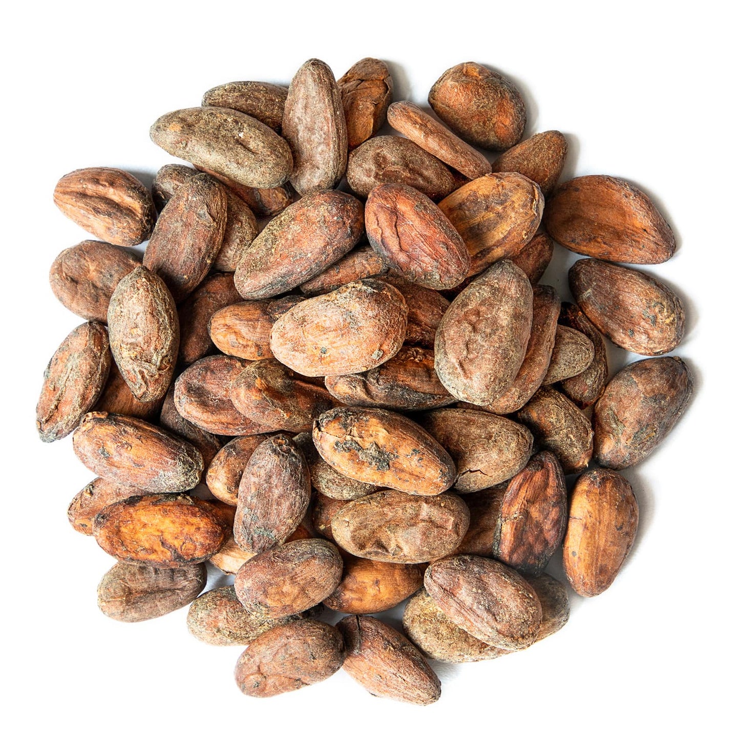 Organic Cacao Beans