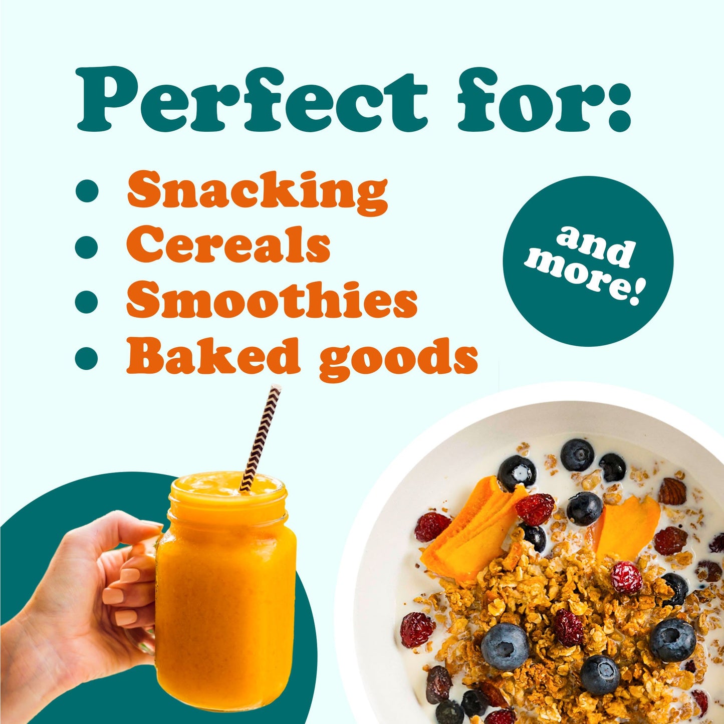 Dried Mango Strips – No Sugar Added. Vegan, Kosher, Bulk – by Food to Live