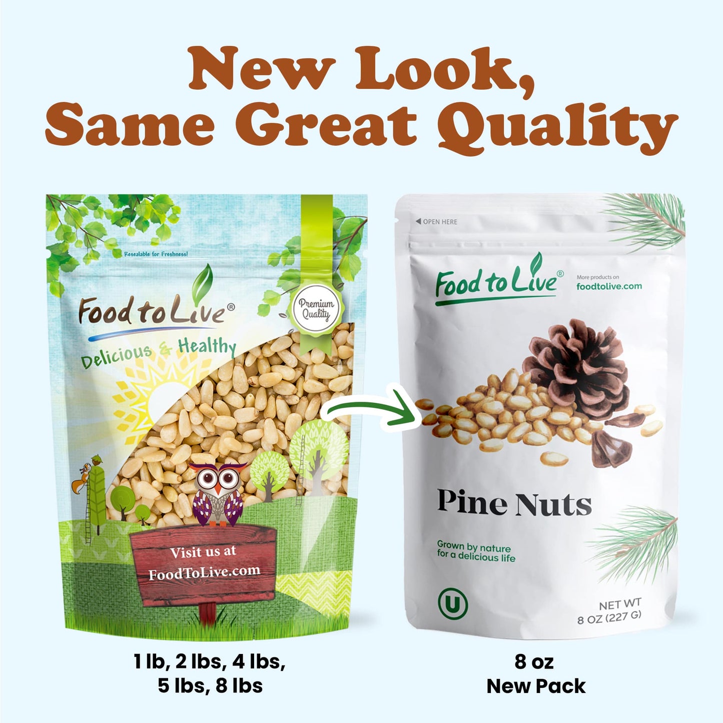 Pine Nuts — Pignolias, Bulk, Kosher, Raw, Unsalted - by Food to Live