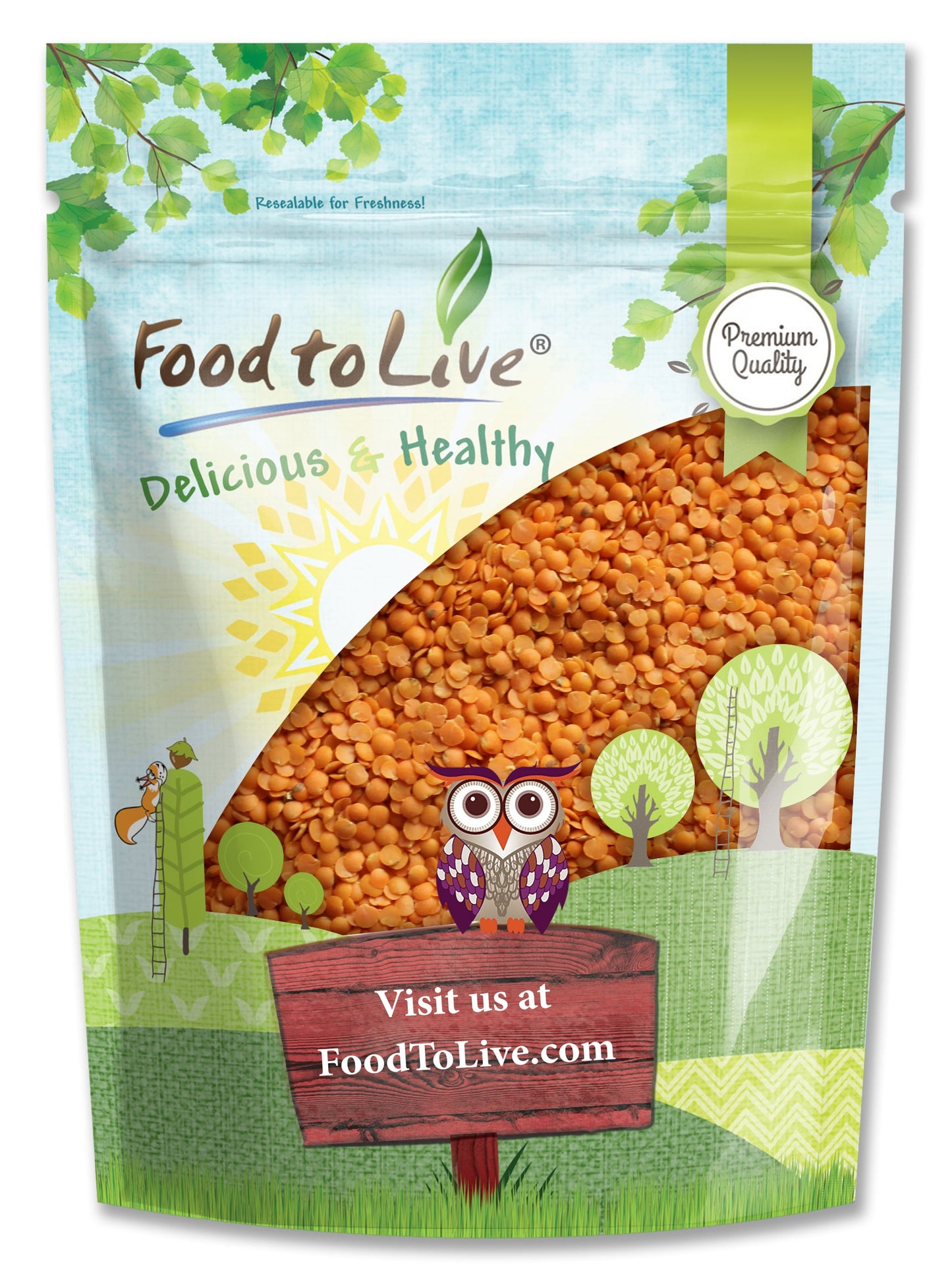 Red Split Lentils - Dry Beans, Kosher, Raw, Bulk - by Food to Live