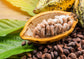 Cacao Paste Wafers – Premium Raw Cacao Liquor, Pure, Unsweetened, Vegan, Bulk. Rich in Antioxidants, Essential Minerals. Perfect for Homemade Desserts, Chocolate Bars, Hot Beverages