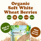 Organic Soft White Wheat Berries  – Premium Non-GMO Whole Grain Wheat for Milling, Sprouting, Cooking, and Baking Bread. High in Fiber and Protein. Kosher Seeds in Bulk