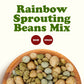 Rainbow Sprouting Beans Mix – Raw, High Germination Rate, Vegan - by Food to Live