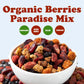 Organic Berries Paradise Mix – A Blend of Non-GMO Dried Cranberries, Blueberries, Goji Berries, Golden Berries, Mulberries. Great Snack. Add to Granola, Yogurt