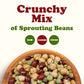 Crunchy Mix of Sprouting Bean Seeds - Green Peas, Adzuki, Lentils, Garbanzo, Kosher, Raw - by Food to Live