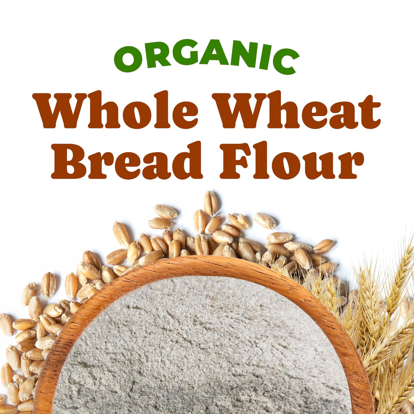 Organic Whole Wheat Bread Flour - by Food To Live