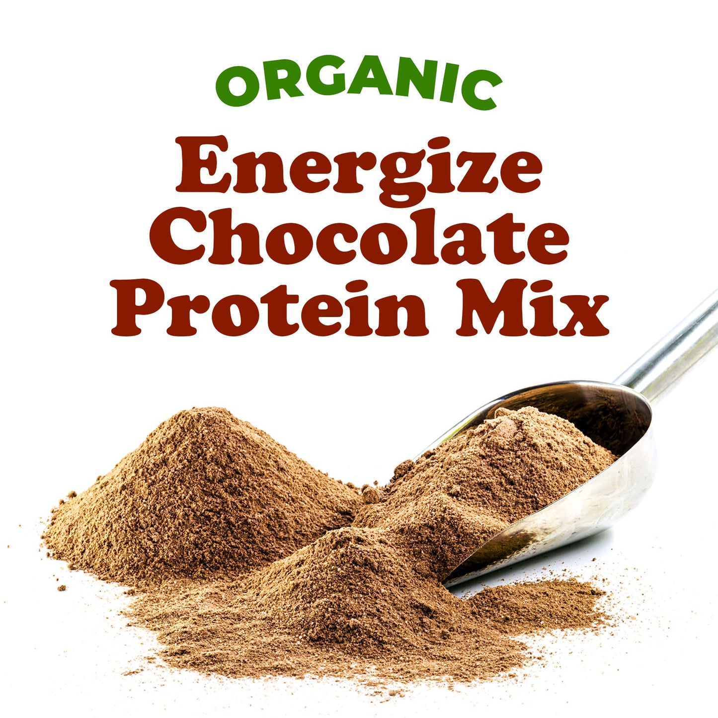 Organic Energize Chocolate Protein Mix – Vegan, Kosher, Bulk – by Food to Live