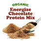 Organic Energize Chocolate Protein Mix – Vegan, Kosher, Bulk – by Food to Live