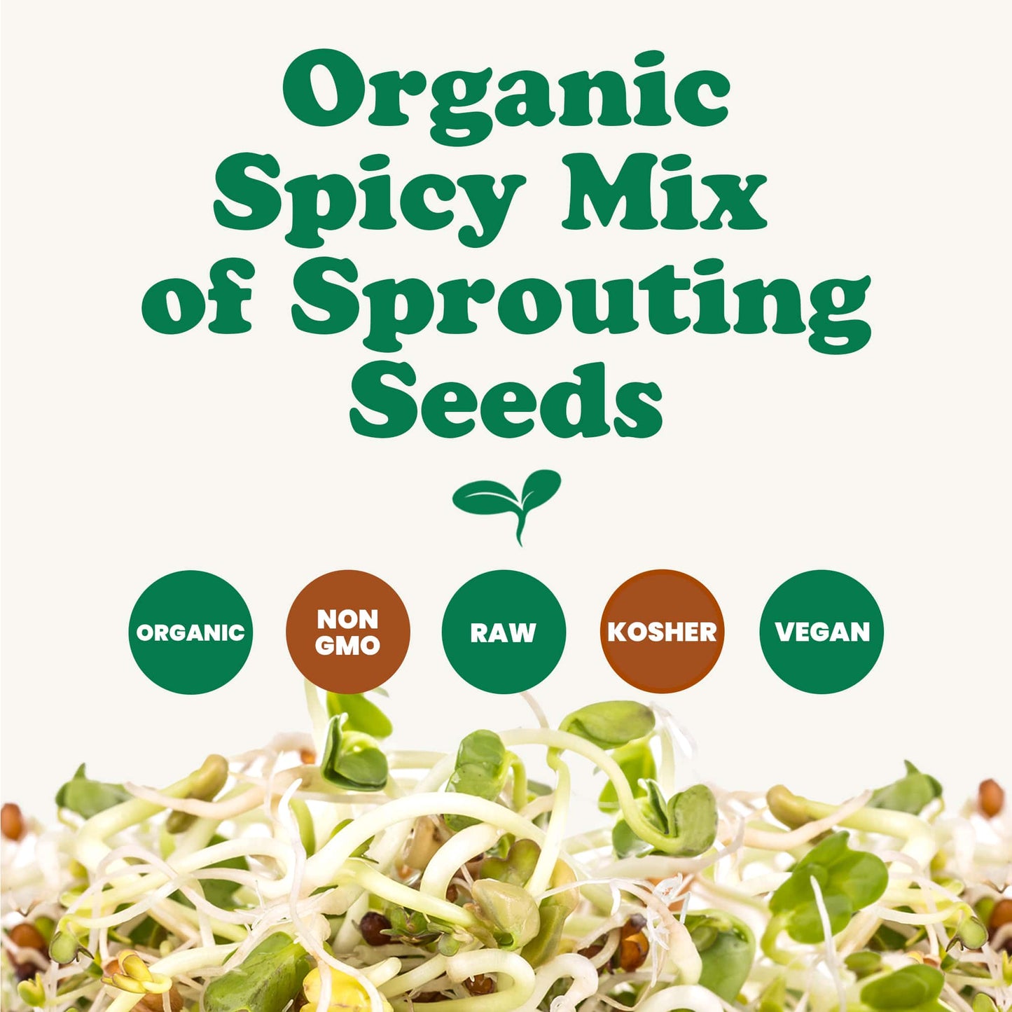 Organic Spicy Mix of Sprouting Seeds — Non-GMO Broccoli, Radish, Alfalfa, Raw, Rich Germination Rate, Kosher, Vegan, Bulk - by Food to Live