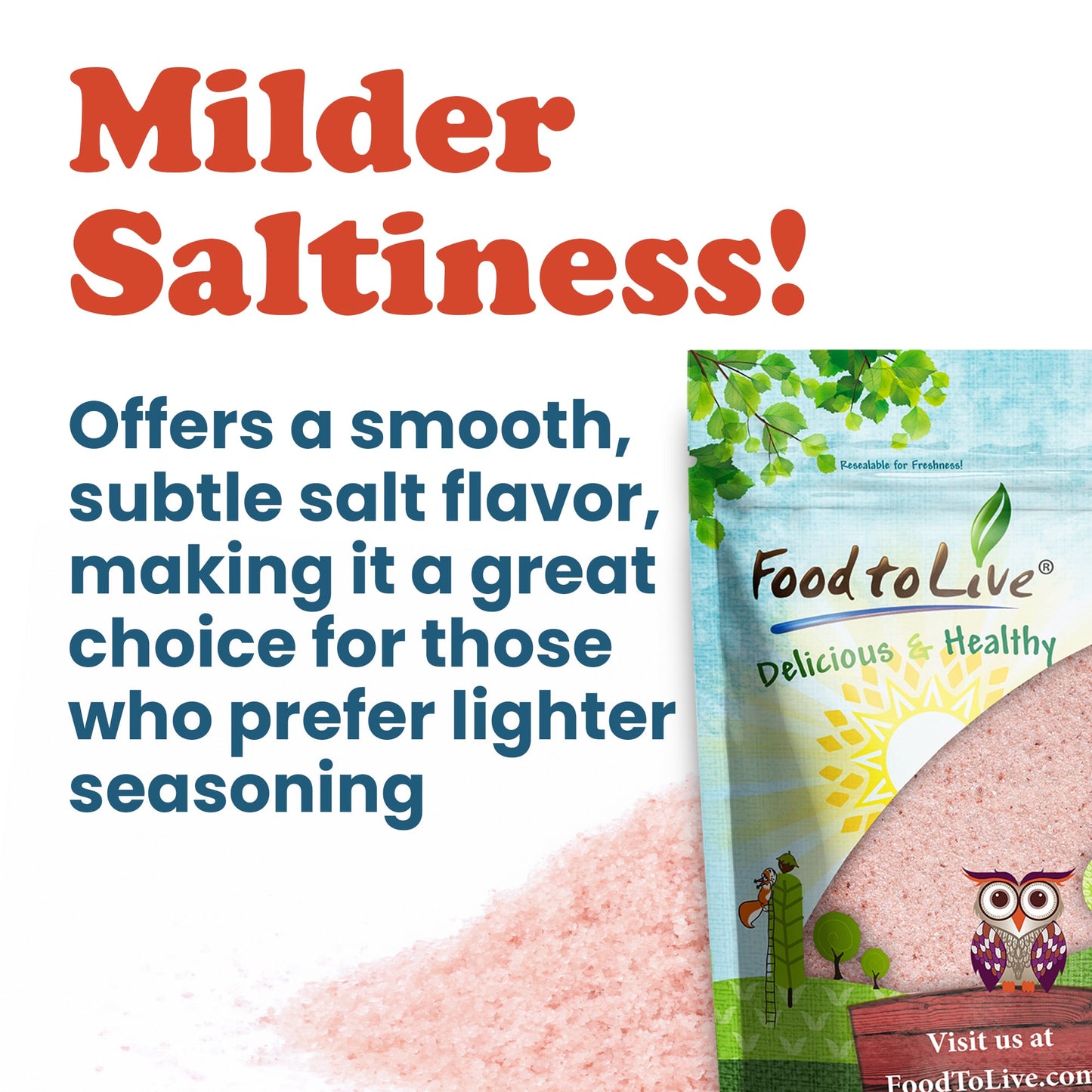 Himalayan Pink Salt — Super Fine, Natural, Bulk - by Food to Live