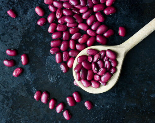 Adzuki Beans - Sprouting, Raw, Vegan - by Food to Live