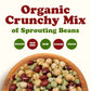 Organic Crunchy Mix of Sprouting Beans - Non-GMO, Kosher, Vegan, Raw, Dried, Bulk - Green Peas, Adzuki, Lentil, Garbanzo - by Food to Live